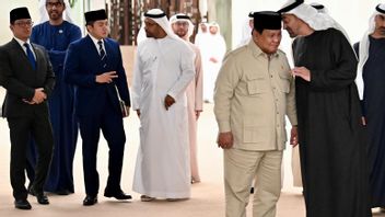 The Moment Of Closeness Of President Prabowo And President MBZ When Discussing Global Dynamics In Abu Dhabi