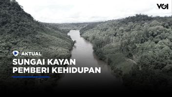 Potentiel De La Rivière Kayan