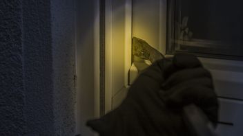 Curi Duit Turis Slovakia Jutaan Rupiah, Karyawan Bungalow di Nusa Penida Ditangkap 