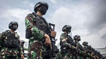 TNI Rekrut 24 Ribu Tamtama, DPR: Fokus Latihan Tempur Bukan Jadi Petani di Masa Damai