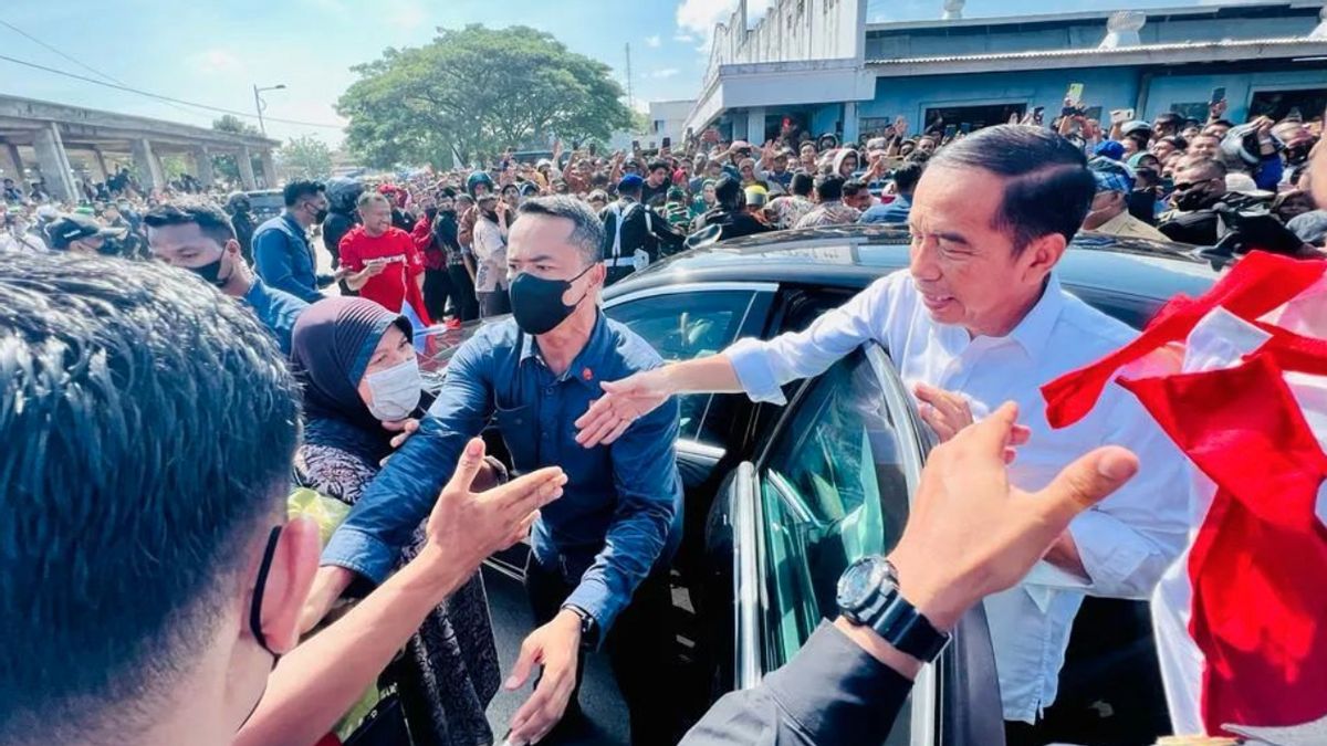 Kucing <i>Oren</i> di Instagram Presiden Jokowi