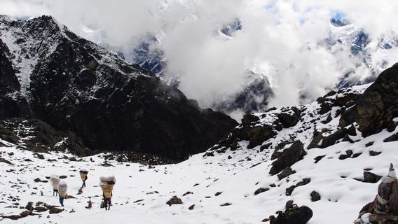 Salju dan Hujan Lebat Landa Himalaya, Ratusan Pendaki Sempat Terdampar di Everest