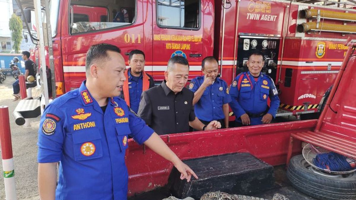 Crocodile Evacuation Officer Trapped In Fisherman's Jala In Bandar Lampung