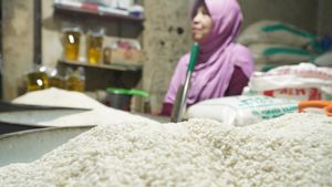 Bos Bapanas Ingatkan Pelaku Usaha Beras Jangan Main-main dengan Kualitas Beras
