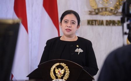 Puan Maharani Minta Pembentukan Satgas Cegah Kekerasan Seksual