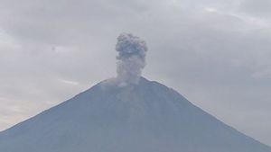 Mount Semeru Erupts Again, Eruption Reaches 1,200 Meters Above The Peak