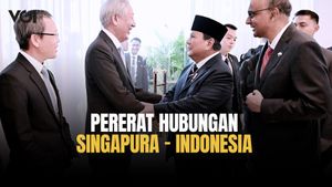 プラボウォ大統領は、インドネシアとシンガポールの関係がより成熟し、強くなることを望んでいます