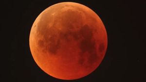Minggu Depan Fenomena Gerhana Bulan Blood Moon Bakal Hiasi Langit