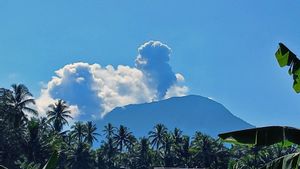 Erupsi, Kolom Abu Gunung Ibu Menjular Hingga 800 Meter