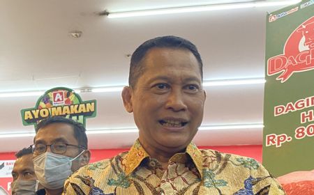 Bos Bulog: Daging Kerbau Beku India Lembut, Cocok untuk Rendang atau Semur