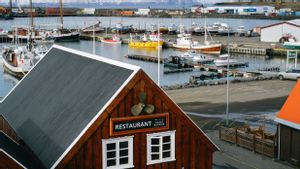 5 Negara Teraman di Dunia 2025, Tertarik untuk Mengunjunginya?