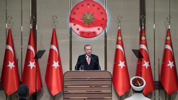 جاكرتا (رويترز) - رفضت تركيا بشدة خطة إسرائيل لبناء منطقة حريبة في غزة الرئيس أردوغان: لا تحترم فلسطين
