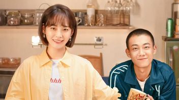 Synopsis Of Chinese Drama Small Town Stories: Karlina Zhang's Struggle To Build A Business With Gao Zhi Ting