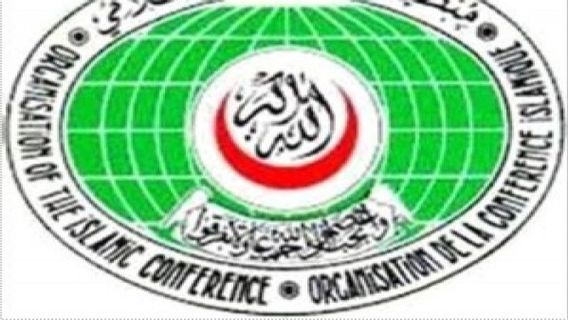OIC Condemns Israeli Attack on Military Infrastructure in Southern Syria