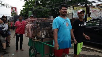 [PHOTO] Evacuation Of Pets In Ciledug Indah I