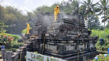 معبد ماجيلانج الأسود المحافظ عليه ، مركز الحفظ: يمكن أن تسبب الكائنات الحية الدقيقة أضرارا لمجمعات الفحم الخاصة بها