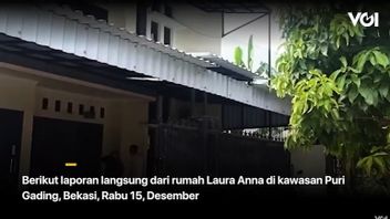 فيديو: أحدث جو من منزل لورا آنا، سيليبغرام الشباب الذين لقوا حتفهم