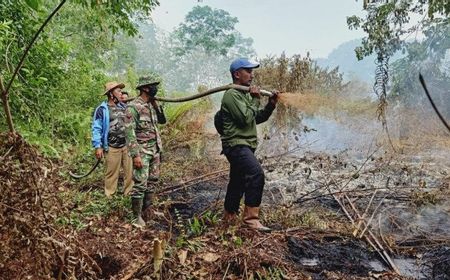 248 Hektare Lahan di Riau Terbakar, Paling Luas dari Bengkalis