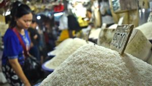 Stok Beras Tembus 12,5 Juta Ton, Bapanas Pastikan Cukup hingga Lima Bulan ke Depan