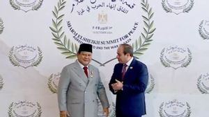 Indonesia Peran Sentral Perdamaian Gaza, Prabowo Dianggap Figur Solutif di Mata Dunia