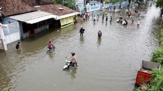 Banjir Siantang Kalbar: 104 Desa Terendam Diperkirakan Makin Meluas, Sekolah Diliburkan 