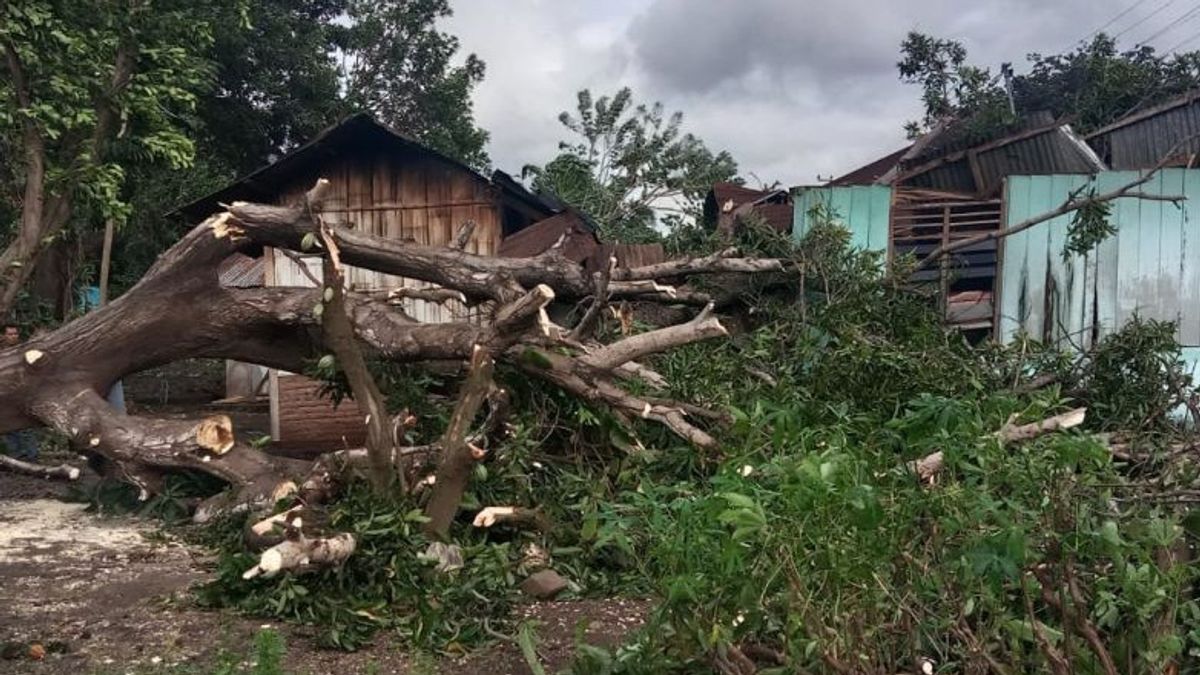 BPBD of East Nusa Tenggara: 396 Houses Damaged Due to Hydrometeorological Disasters Since December