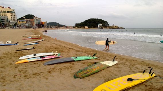 South Korean Authority Bans Surfing When Drunk Starting This Year, Violators Threatened With Fines Of IDR 11 Million