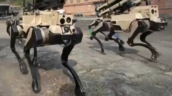 China Pasarkan “Serigala Robot”, Robot Tempur Berkaki Empat untuk Medan PerangChina Pasarkan “Serigala Robot”, Robot Tempur Berkaki Empat untuk Medan Perang