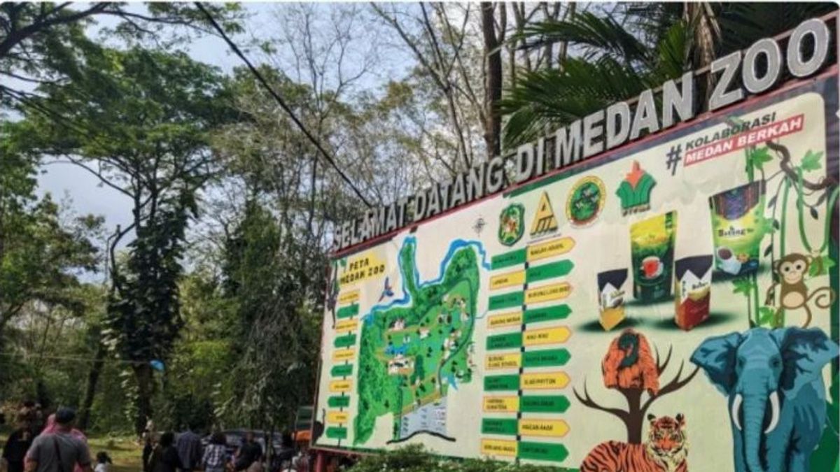 4 Dead Tigers, KLHK Asked For Medan Zoo Evaluation