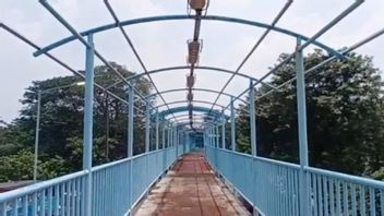 Atap Hilang-Plat Besi Berkarat, Begini Kondisi Suram JPO Terminal Kampung Rambutan