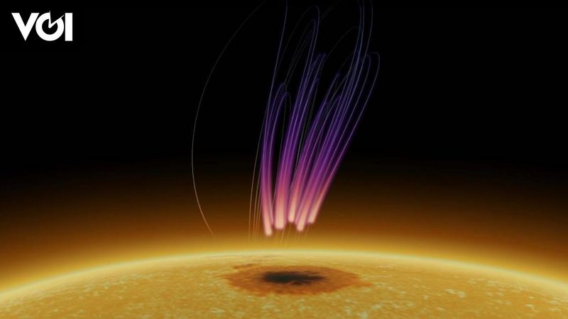 NJIT-CSTR Discovers Aurora-Like Radio Bursts on the Sun: Potential to Change Understanding of Stellar Magnetic Processes