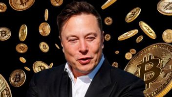 Wow! Elon Musk's Bitcoin Is Worth 72 Trillion, How Much Do You Have?