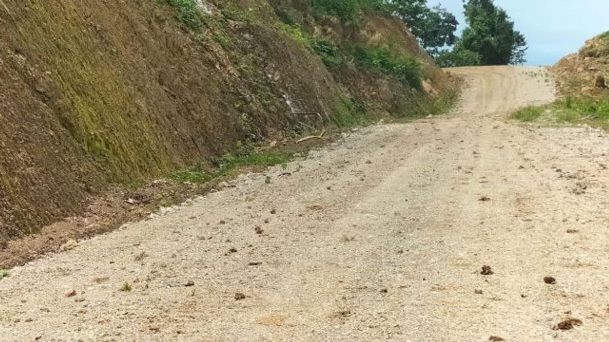 Ministry Of PUPR Still 'Debt' Completes 183 Km Trans Papua Road Until 2024