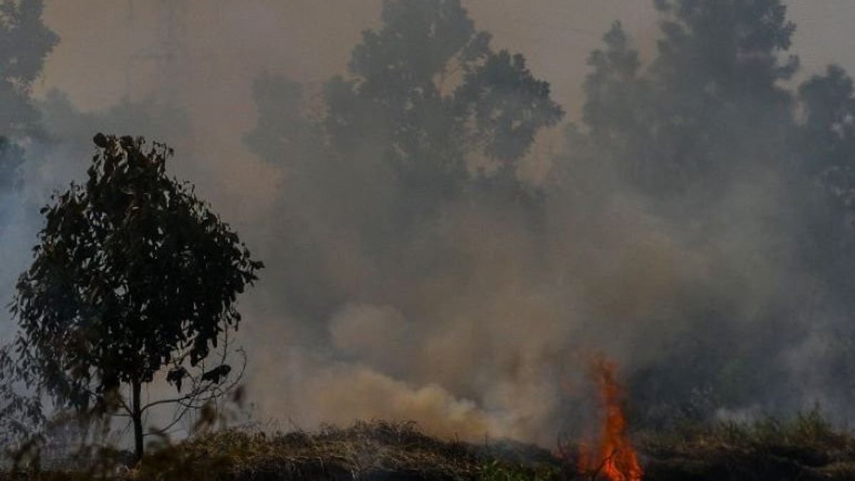 中央カリマンタンBPBDの人員が森林と陸上火災と戦う疲労で死亡