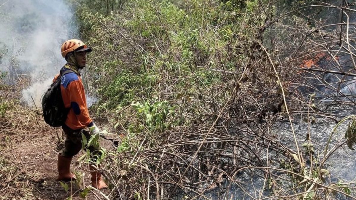 バトゥ市のパンダーマン山火災は鎮火したと報告されています