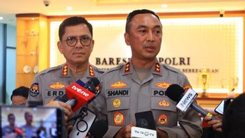 Usai Diputus MK Soal Larangan Polisi Rangkap Jabatan, Polri Bentuk Tim Pokja