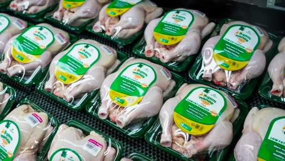 Harga Daging Ayam dan Cabai Rawit di Jakarta Meroket Tajam Jelang Imlek dan Ramadan, Pemerintah Lakukan Evaluasi