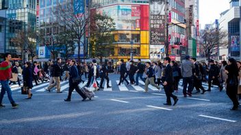 Half of Japan's 20 Major Cities Experience Population Decline