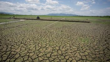 BMKG: Dry Season Started In Sabang, Banda Aceh, Aceh Besar