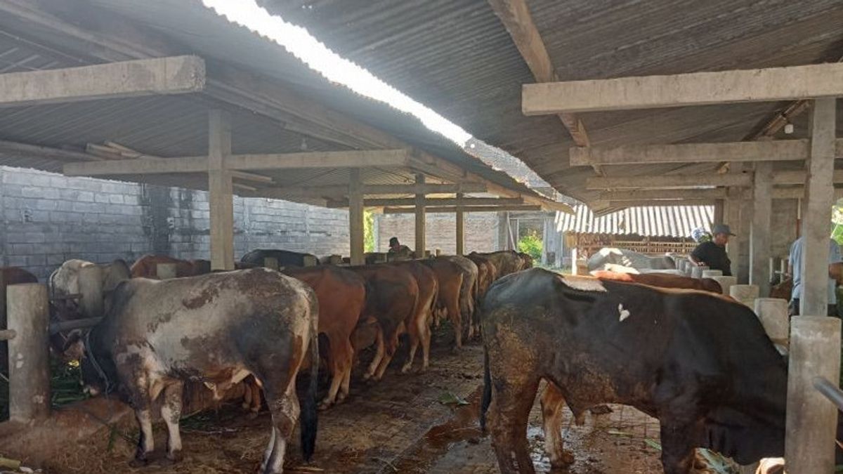 彼の牛はFMDのために破壊され、バントゥールの農家は補償を求める