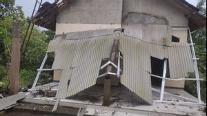 Puluhan Rumah Rusak, Lampu Jalan dan Pohon Tumbang Diterjang Angin Kencang di Jember