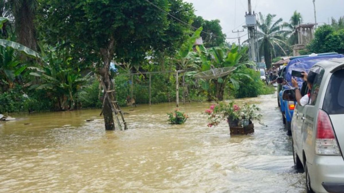 Floods In West Pasaman Since Friday, 430 Agricultural Lands Have Been Inundated