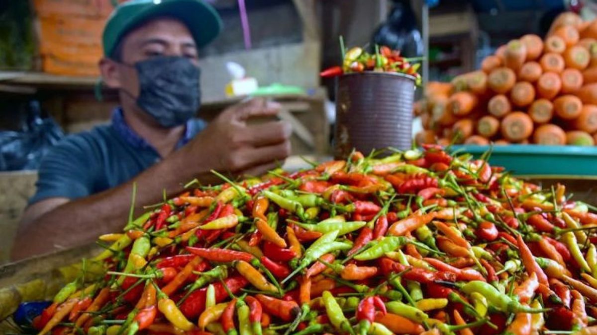 National Price: Cayenne Pepper Reaches IDR 91,000 Per Kg, What About Other Regions?