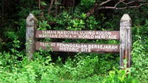 Sejarah Hari Ini 24 Juni 1937: Taman Nasional Ujung Kulon Ditetapkan Sebagai Suaka Margasatwa