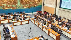 Rapat Bareng DPR, Inaplas Usulkan Relaksasi Impor Garam Industri Ditunda 10 Tahun