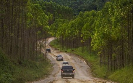 Usai Korea dan Jepang, Delegasi Amerika Serikat Bakal Kunjungi Proyek IKN Nusantara