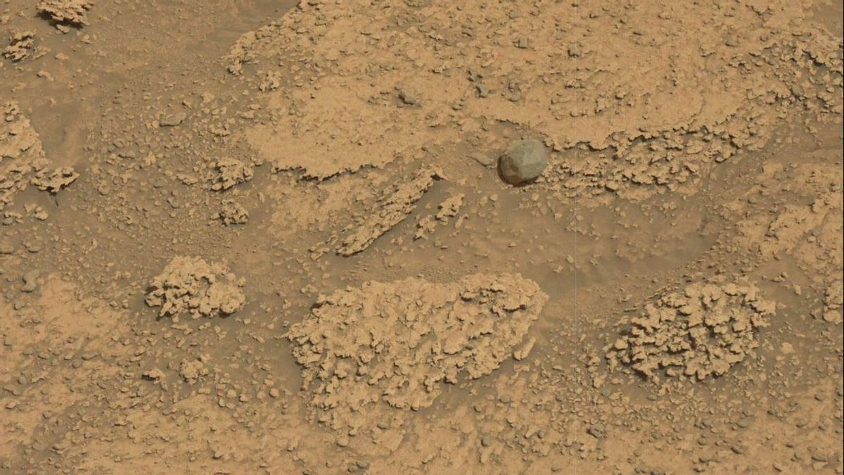 好奇号火星车在火星、岩石或陨石表面发现独特的物体？