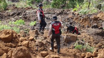 Tracking Dog Unit Deployed To Help Search For Landslide Victims In Lumajang