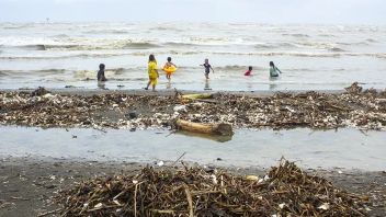 KLHK Klaim Indonesia Berhasil Turunkan 38 Persen Sampah Laut