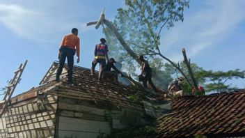 Strong Winds Damaged 144 Houses In 6 Lampung Districts